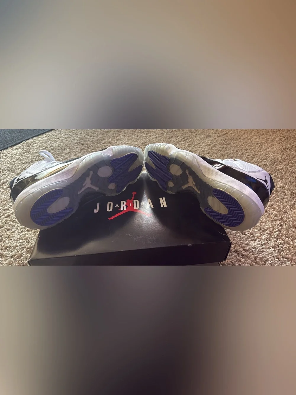 Nike Air Jordan 11 Retro Concords DS(2018)